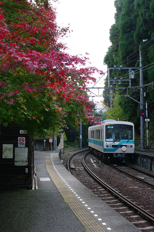 京都の紅葉2010 ~叡山電車・二ノ瀬駅~ と..._f0152550_22161039.jpg