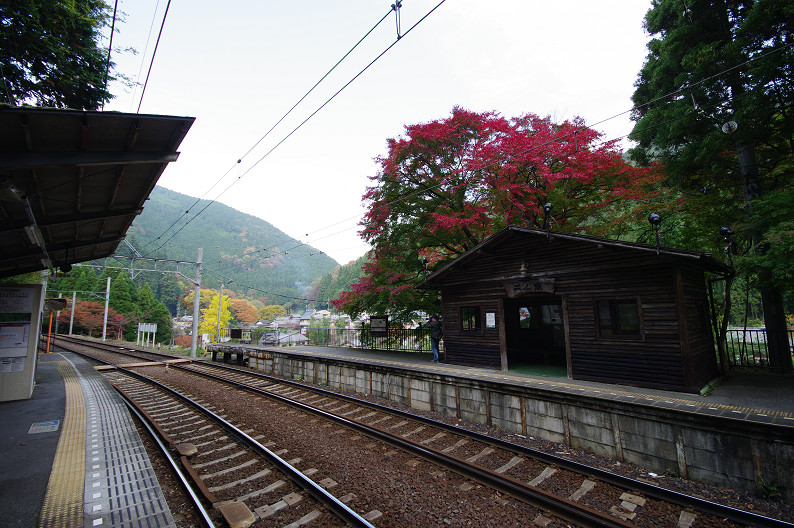 京都の紅葉2010 ~叡山電車・二ノ瀬駅~ と..._f0152550_22163686.jpg