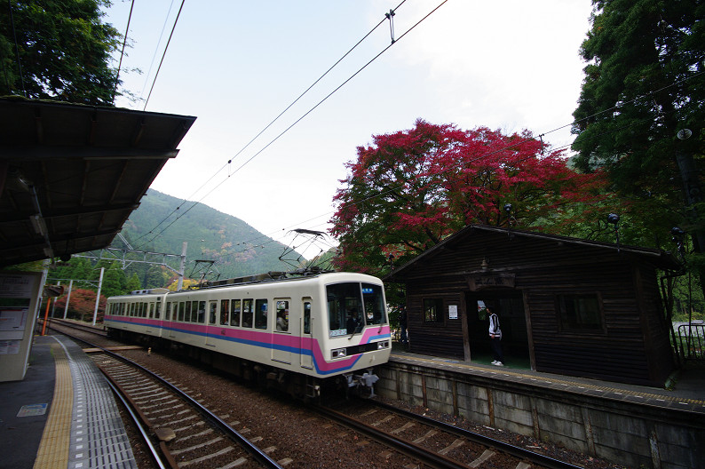 京都の紅葉2010 ~叡山電車・二ノ瀬駅~ と..._f0152550_22164330.jpg
