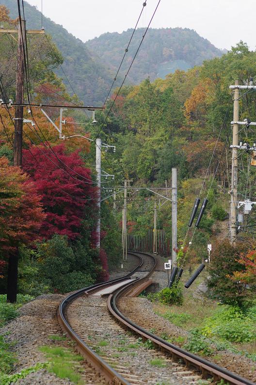 京都の紅葉2010 ~叡山電車・二ノ瀬駅~ と..._f0152550_22172973.jpg