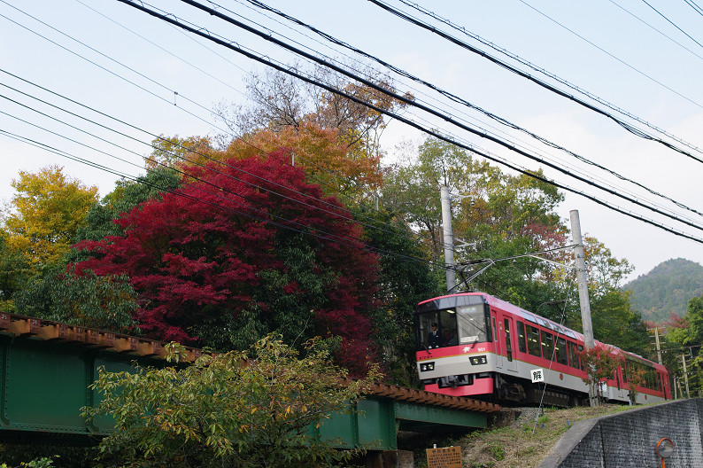 京都の紅葉2010 ~叡山電車・二ノ瀬駅~ と..._f0152550_2217547.jpg