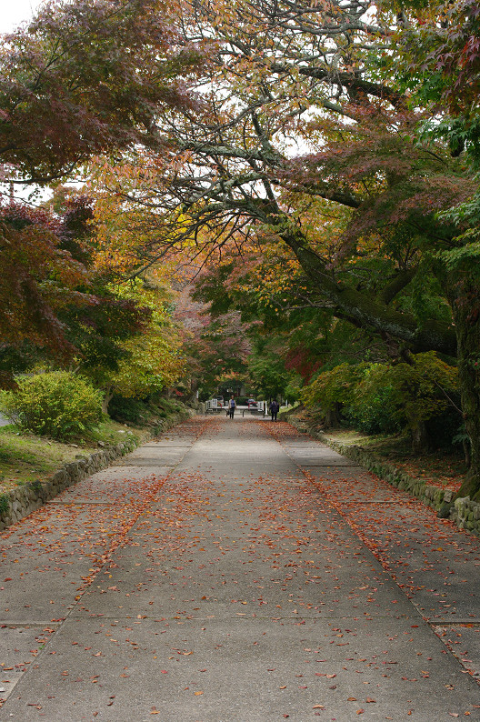 京都の紅葉2010 ~叡山電車・二ノ瀬駅~ と..._f0152550_22181638.jpg