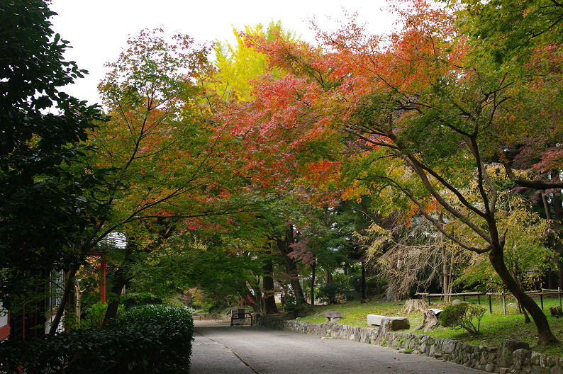 京都の紅葉2010 ~叡山電車・二ノ瀬駅~ と..._f0152550_22182194.jpg