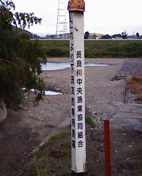 11月9日 涸れた今川を見る会-3_f0197754_1144935.jpg
