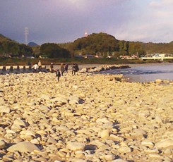 11月9日 涸れた今川を見る会-3_f0197754_1173826.jpg