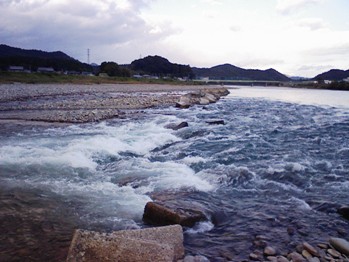 11月9日 涸れた今川を見る会-3_f0197754_1184413.jpg