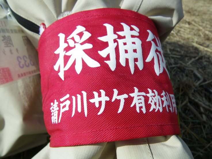 a0119562_17274356.jpg