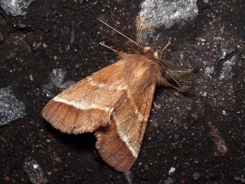 b0130166_1631123.jpg