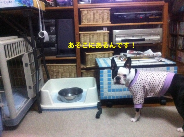 f0168374_1517845.jpg
