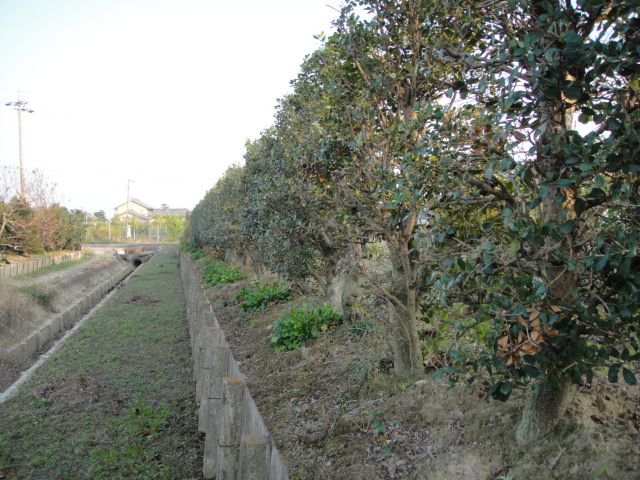 f0137275_44333.jpg