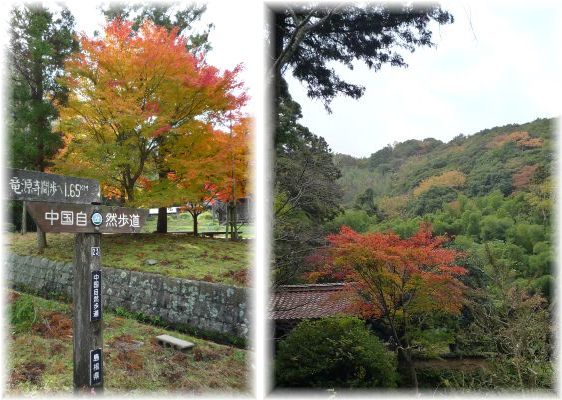 世界遺産　石見銀山街道を歩く_d0174983_2248366.jpg