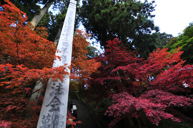 比叡山延暦寺_f0180085_7373027.jpg