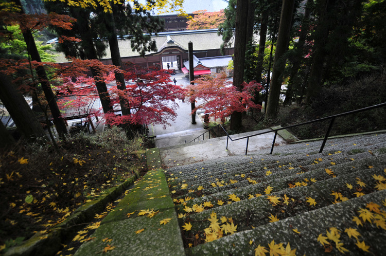 比叡山延暦寺_f0180085_7435521.jpg