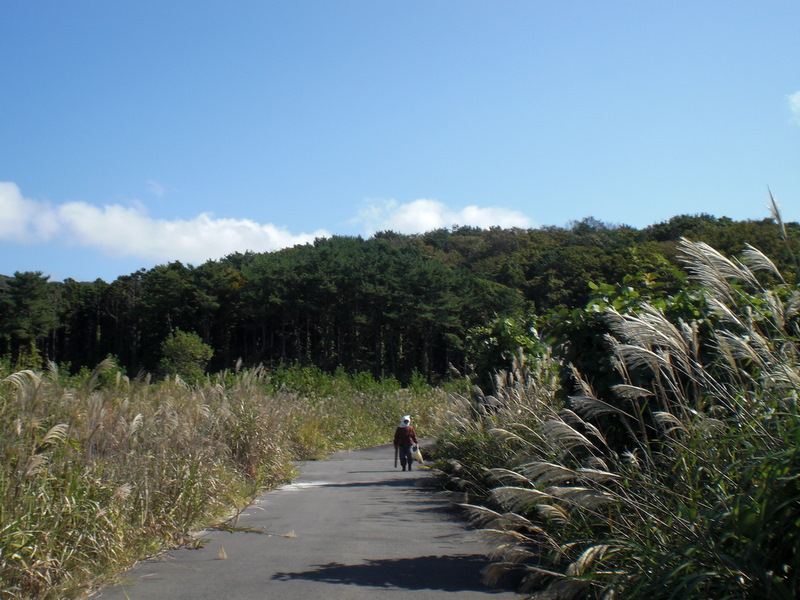 c0013687_22421442.jpg