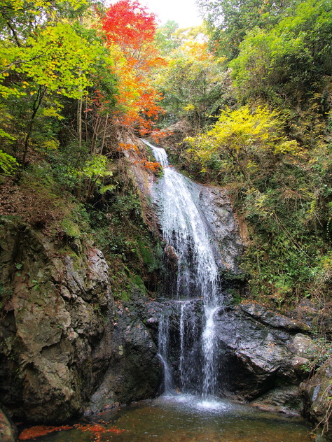e0123889_2045460.jpg