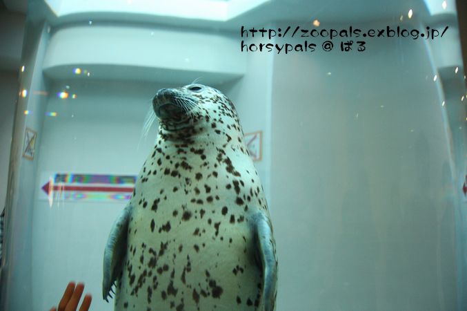 f0158697_23224143.jpg