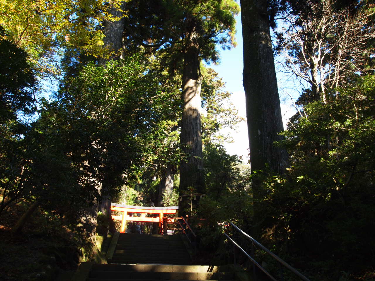 箱根神社_f0236201_95749.jpg