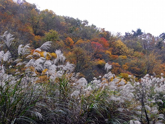 \'10-11：荒島岳（百名山）_f0187402_18351661.jpg