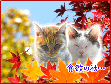 b0147203_1238263.gif