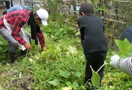 c0052304_10395842.jpg