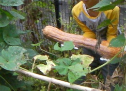 c0052304_922632.jpg