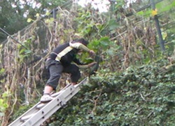 c0052304_9302015.jpg