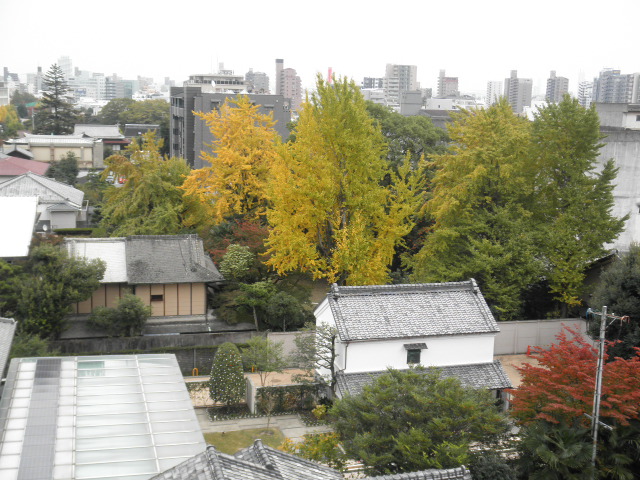 c0152507_5364340.jpg