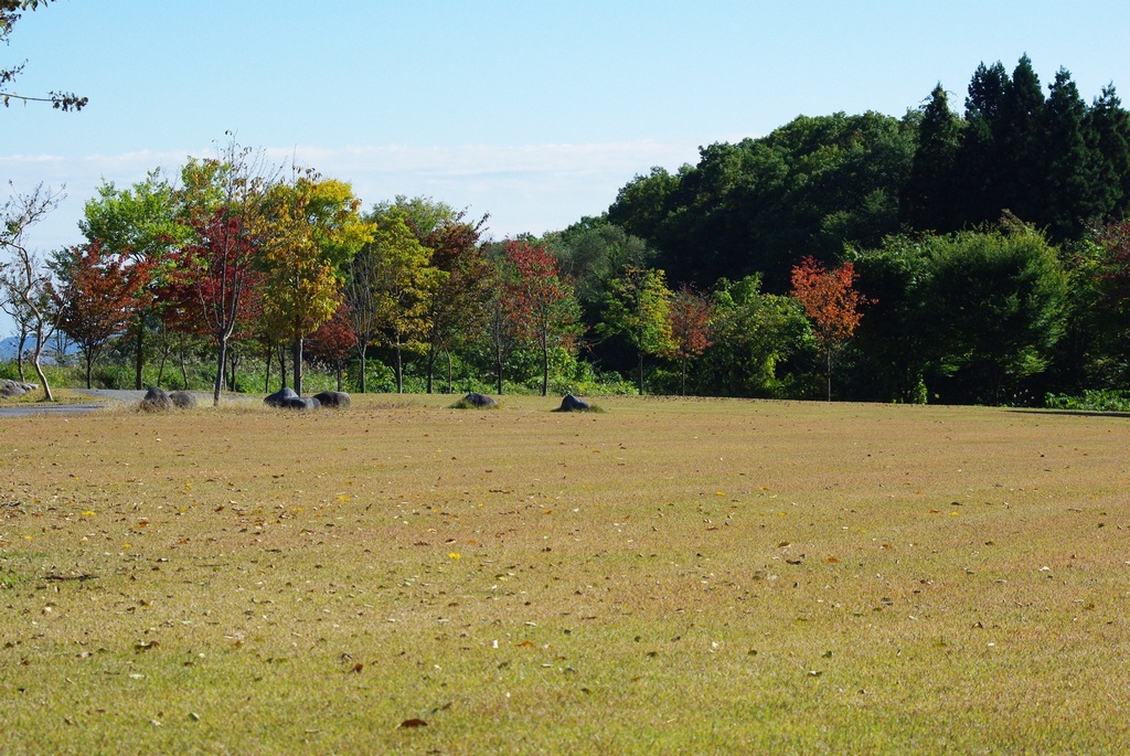 大谷川（だいやがわ）公園散歩_e0034313_8184865.jpg