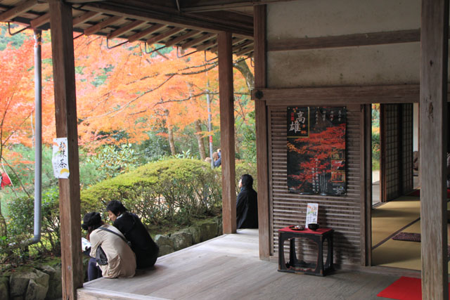 槙尾山　西明寺　紅葉さかり_e0048413_21102229.jpg