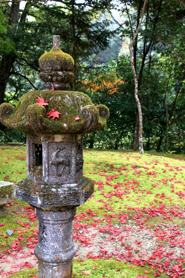 槙尾山 西明寺 紅葉さかり_e0048413_2110868.jpg