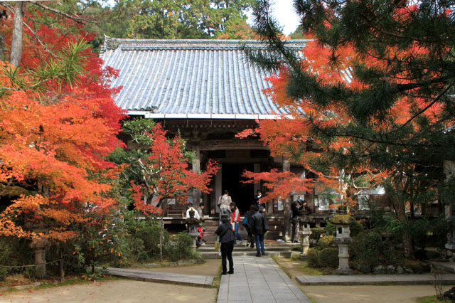 槙尾山　西明寺　紅葉さかり_e0048413_2193524.jpg