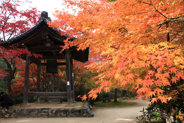 槙尾山　西明寺　紅葉さかり_e0048413_2194919.jpg