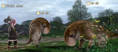 あんたはいったいなんなんだ_d0039216_23315874.jpg
