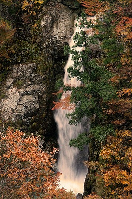 a0087818_19303878.jpg