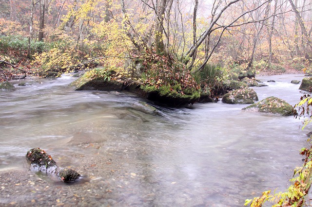 東北の旅・・・奥入瀬渓谷_a0087818_19443868.jpg