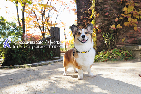 安曇野で写真を撮ってもらいました~♪_f0155118_2131749.jpg