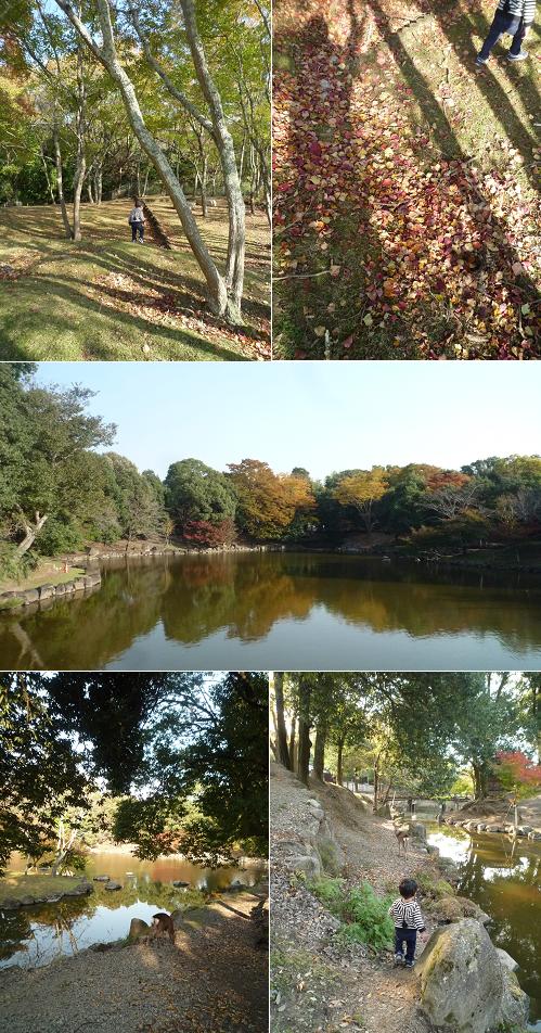 秋の奈良散歩～高畑～_c0209519_12504834.jpg