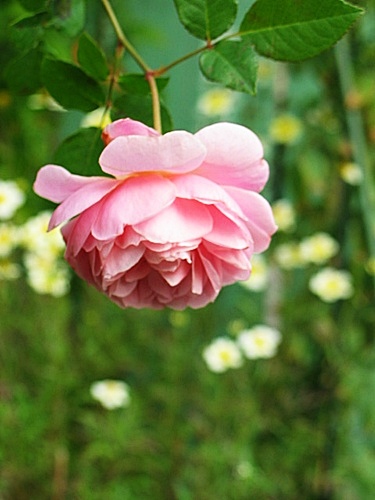 a0067720_18511136.jpg