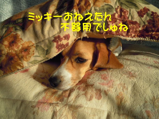 c0166622_1050919.jpg
