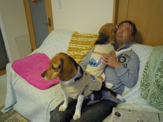 c0166622_10525446.jpg