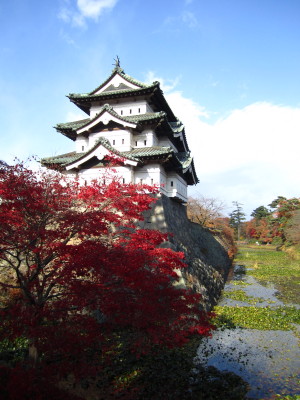 b0147224_1640292.jpg