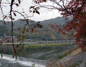 c0083527_22375986.jpg