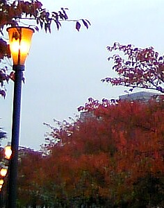 c0212929_8234124.jpg