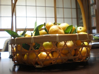 f0122629_8314245.jpg