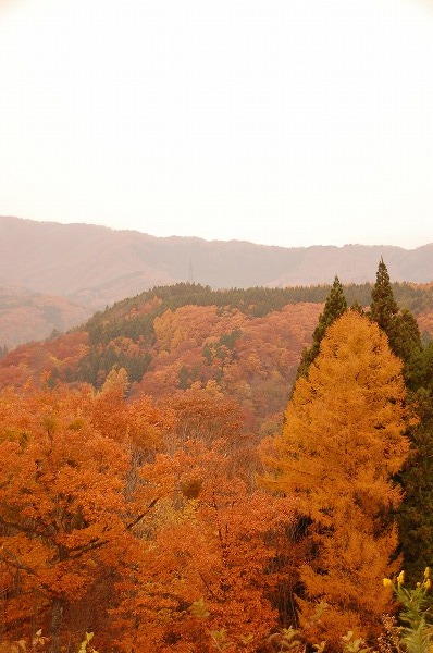 e0146031_12464516.jpg