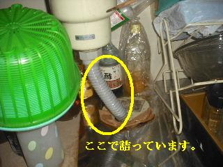 f0031037_18184034.jpg