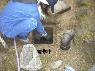 f0031037_18195848.jpg