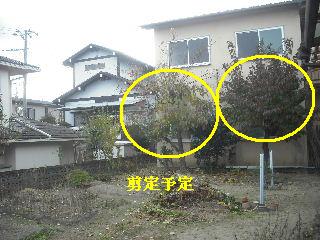 f0031037_18481665.jpg