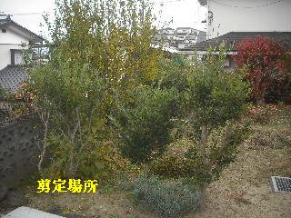 f0031037_1848926.jpg