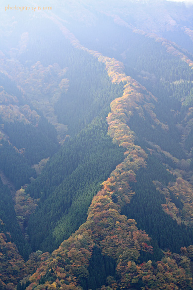 e0083238_22221369.jpg